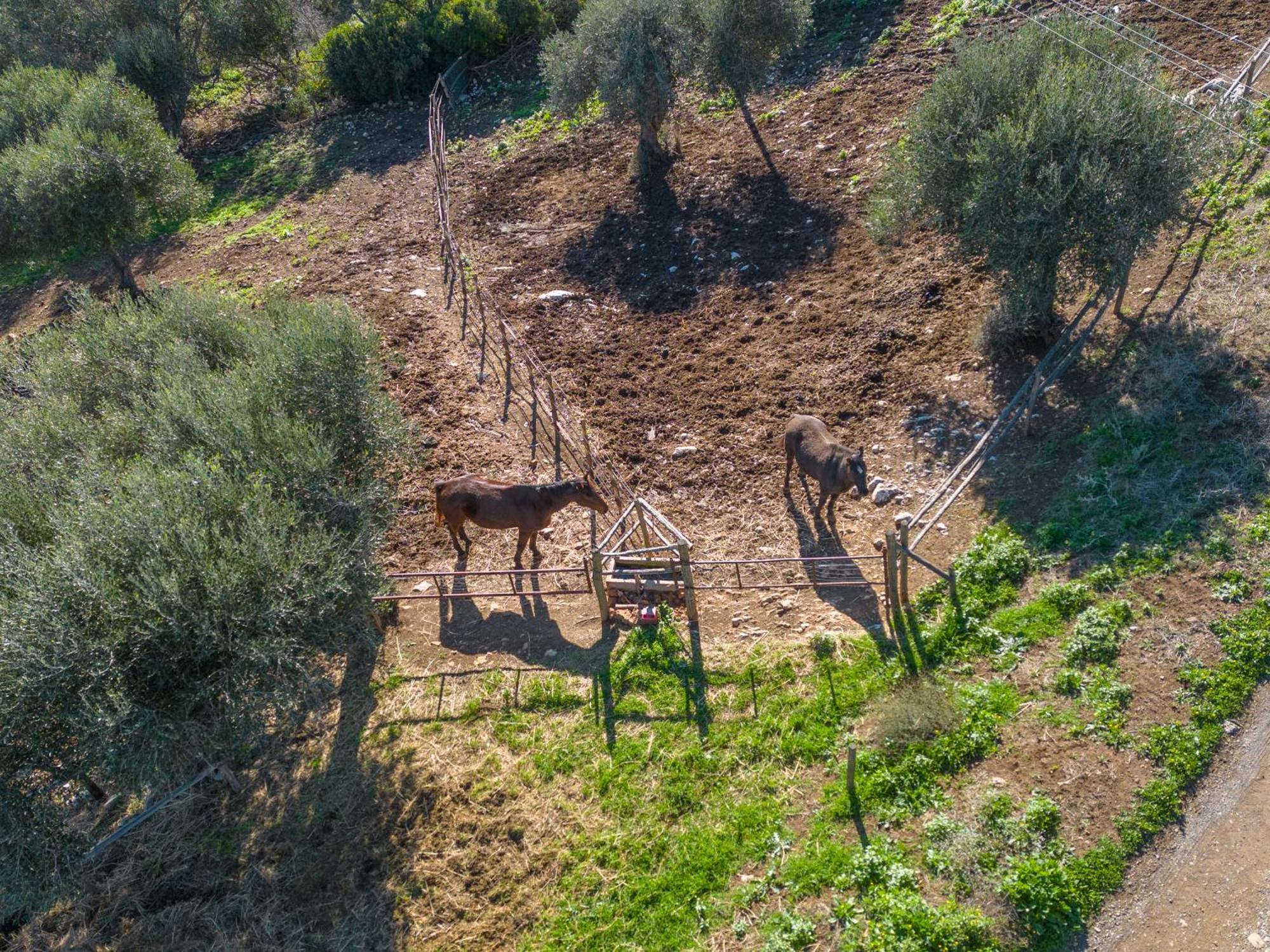 Agriturismo Buratta Fonteblanda Ngoại thất bức ảnh